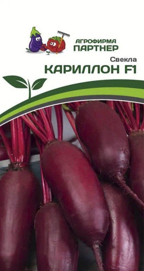 Свекла_Кариллон_1,5_г._Партнер
