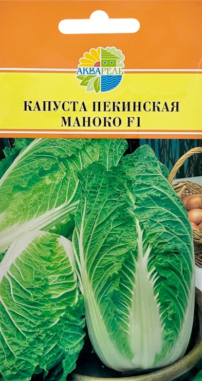 Капуста_пекинская_Маноко F1 (ран)_15_шт._Акварель