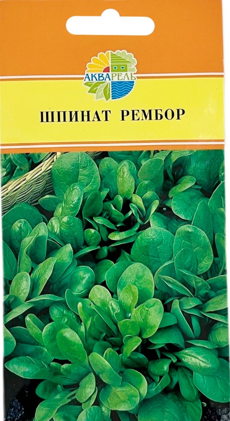 Шпинат_Рембор F1_1_г._Акварель
