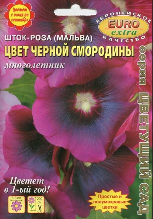 Шток-роза (мальва)_Цвет Чёрной Смородины б/ф_0,07_г._Аэлита Э