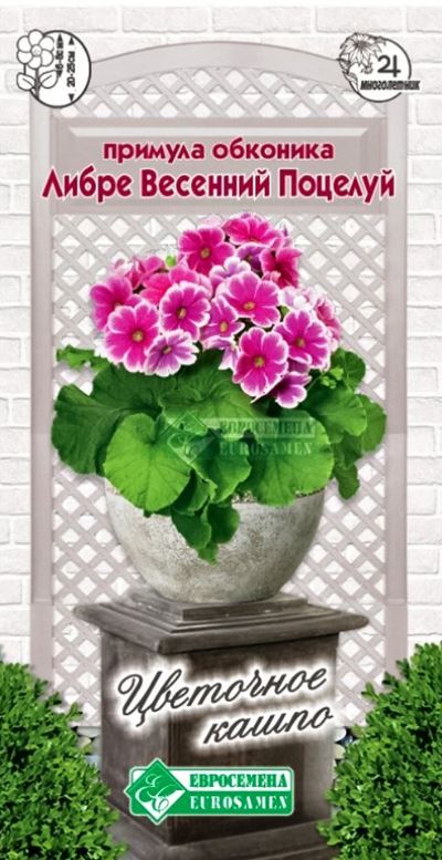 Примула_Обконика Либре Весенний Поцелуй (	Цветочное Капо)_0,04_шт._ЕВРОСЕМЕНА