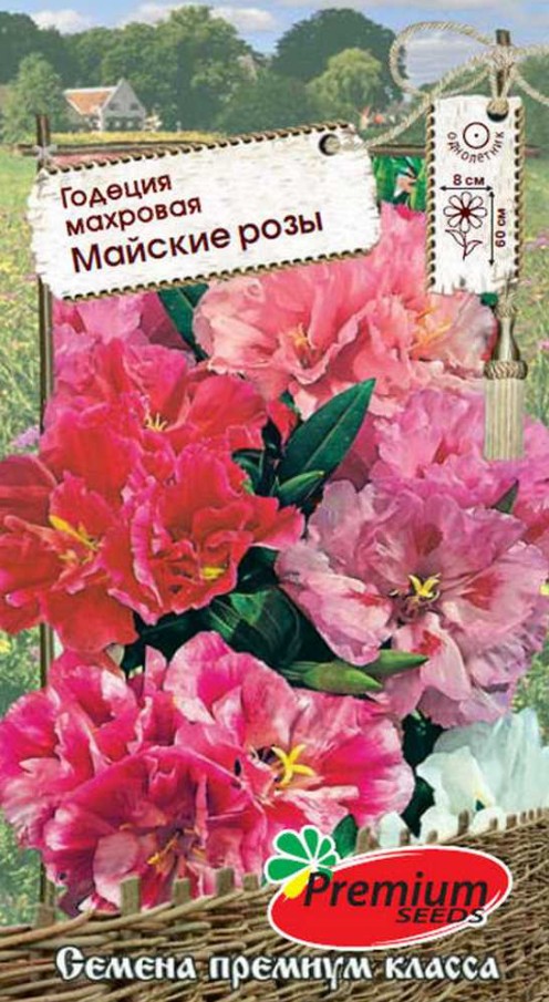 Годеция_Майские розы см_0,3_г._Премиум Сидс