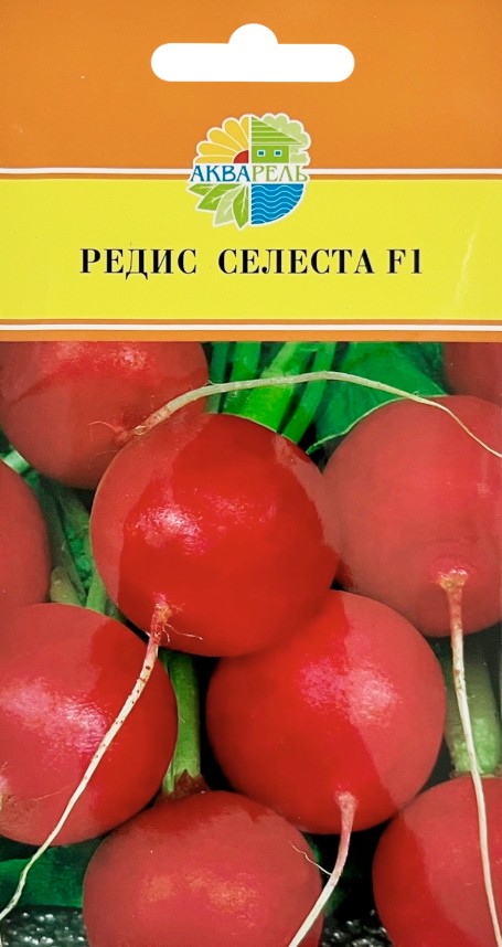 Редис_Селеста_0,8_г._Акварель