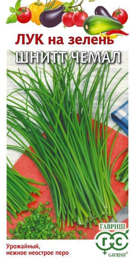 Лук_Чемал шнитт Уд. с._0,5_г._Гавриш