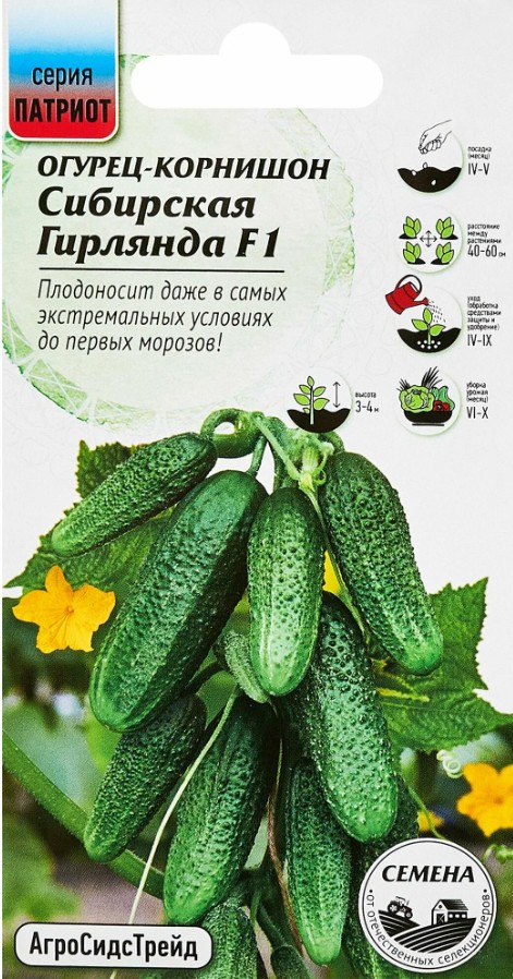 Огурец_Сибирская Гирлянда F1 (ПАТРИОТ)_5_шт._АгроСидсТрейд
