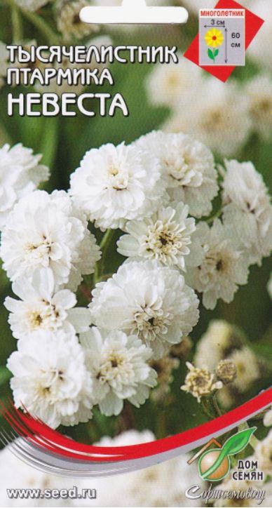 Ахиллея (тысячелистник)_Невеста (птармика)_0,04_шт._Дом Семян С-П