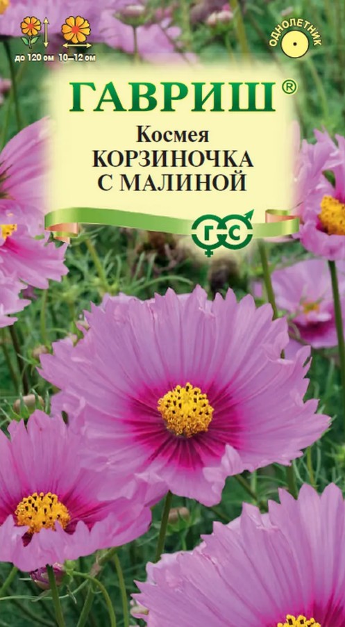 Космея_Корзиночка с Малиной_0,3_г._Гавриш