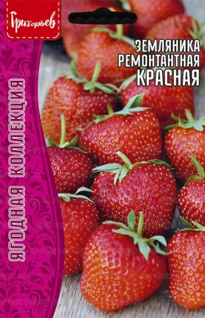 Земляника_Красная (ремонтантная) б/ф_0,1_г._Григорьев