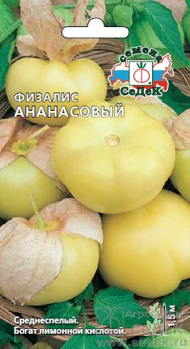 Физалис_Ананасовый_0,1_г._Седек