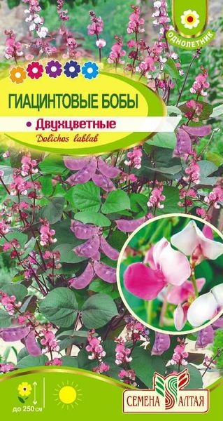 Бобы_Гиацинтовые (долихос) Двуцветные_1_г._Семена Алтая