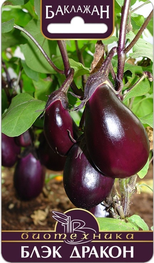 Баклажан_Блэк Дракон_20_шт._Биотехника