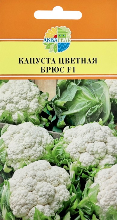 Капуста_цветная_Брюс F1_15_шт._Акварель