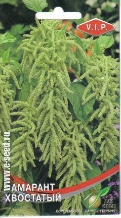 Амарант_Зеленый (хвостатый)_220_шт._Дом Семян С-П