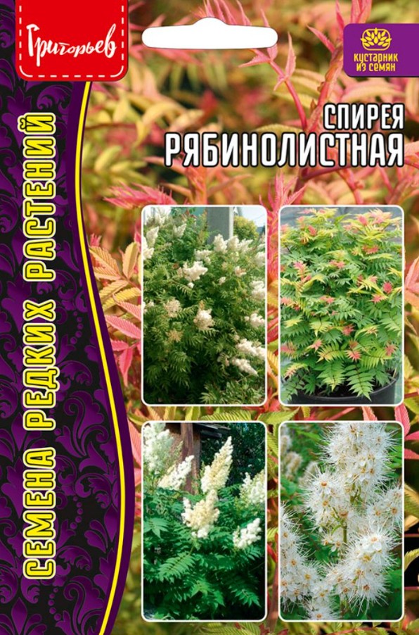 Спирея_Рябинолистная б/ф_0,02_г._Григорьев
