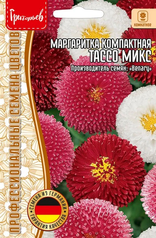 Маргаритка_Тассо см б/ф_5_шт._Григорьев