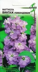 Левкой (маттиола)_Винтаж Лавандовая_15_шт._Дом Семян С-П