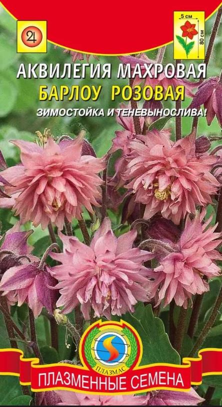 Аквилегия (водосбор)_Барлоу Розовая (махровая)_0,04_шт._Плазменные семена