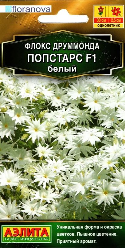 Флокс_Попстарс F1 Белый (Floranova Золотая серия)_0,04_шт._Аэлита