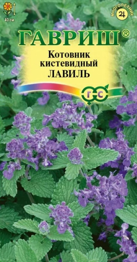 Котовник (непета)_Лавиль_0,04_г._Гавриш