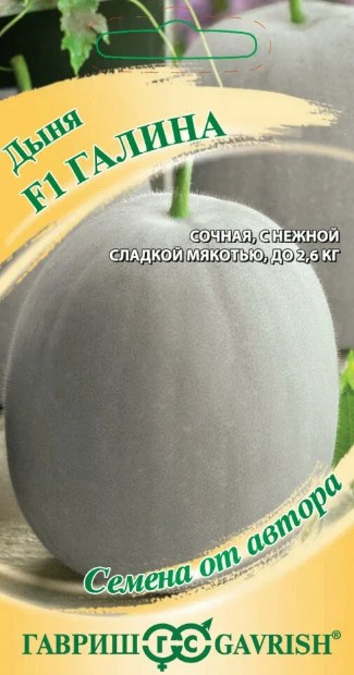 Дыня_Галина_0,5_г._Гавриш