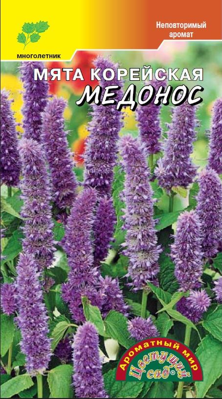 Мята_Корейская Медонос_0,04_г._Цветущий Сад