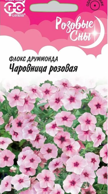 Флокс_Чаровница Розовая (Розовые сны)_0,04_г._Гавриш