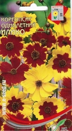 Кореопсис_Илико см_250_шт._Дом Семян С-П