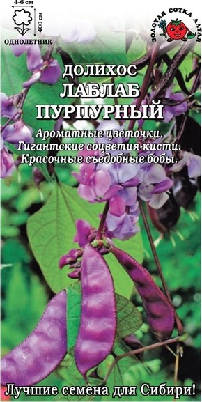 Бобы_Гиацинтовые (долихос) Лаблаб_3_шт._Золотая Сотка Алтая