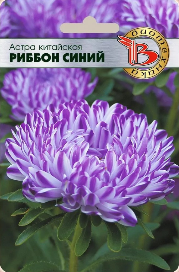 Астра_Риббон Синий (пионовидная)_30_шт._Биотехника