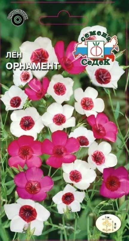 Лен_Орнамент (крупноцветковый, смесь)_0,04_г._Седек