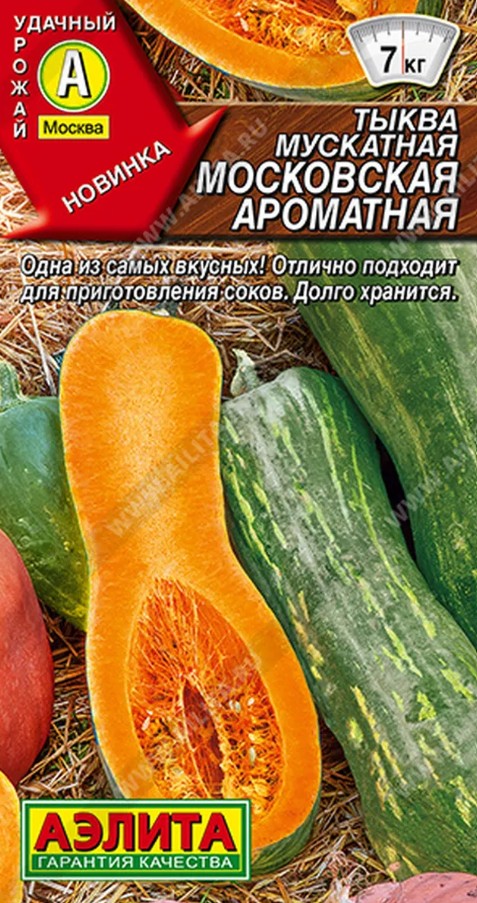 Тыква_Московская Ароматная (мускатная)_1_г._Аэлита