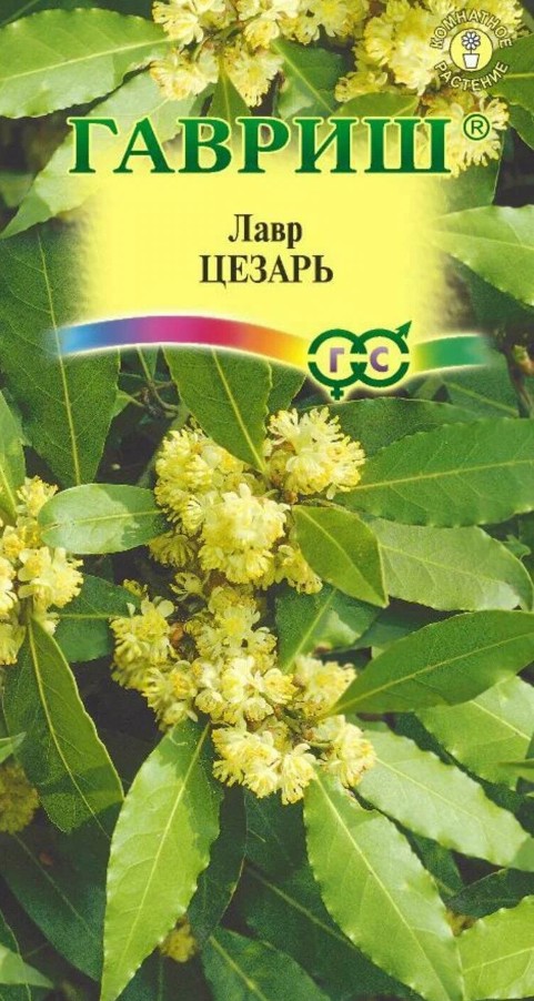 Лавр_Благородный Цезарь_3_шт._Гавриш