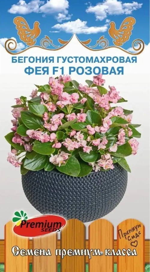 Бегония_Фея F1 Розовая (густомахровая вечноцв)_5_шт._Премиум Сидс