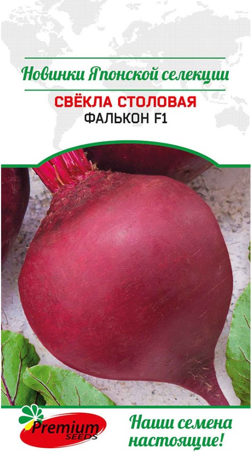Свекла_Фалькон F1 (Япония)_0,5_г._Премиум Сидс