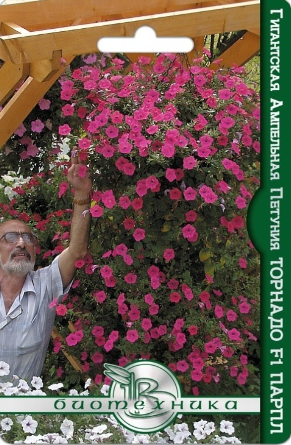 Петуния_Торнадо F1 Парпл (каскад)_8_шт._Биотехника