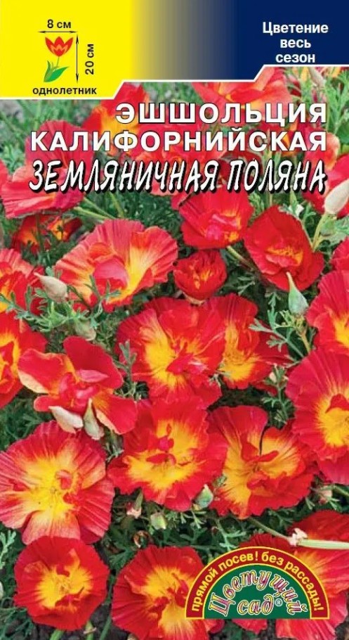 Эшшольция_Земляничная поляна_0,1_г._Цветущий Сад