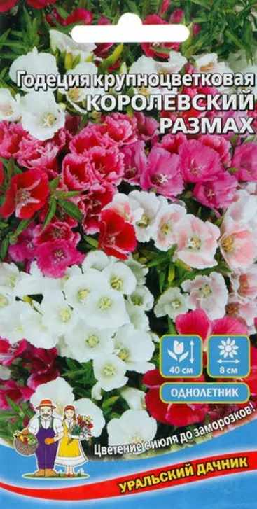 Годеция_Королевский Размах см (крупноцветковая)_0,04_г._Уральский Дачник