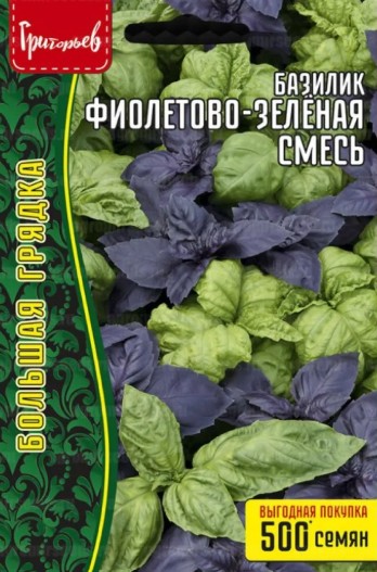 Базилик_Фиолетово-Зеленая см б/ф_1_г._Григорьев