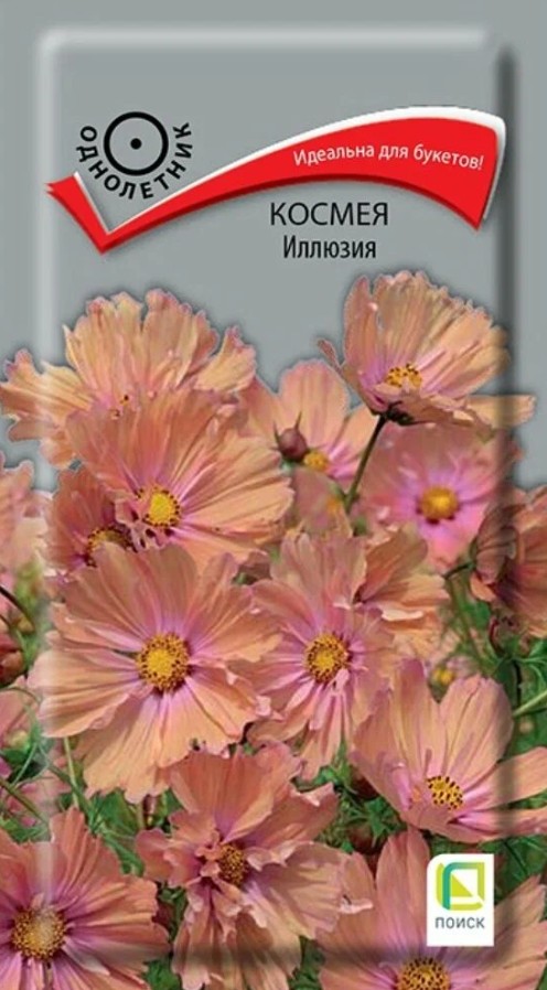 Космея_Иллюзия_10_шт._Поиск