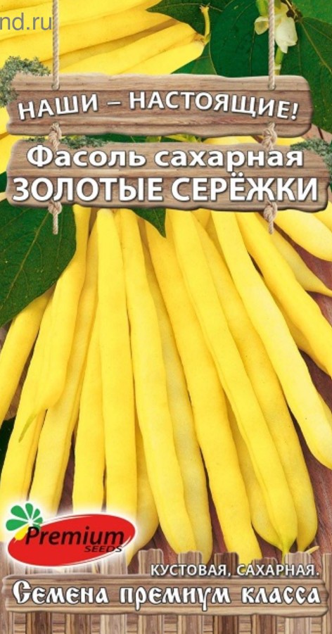 Фасоль_Золотые серёжки (куст спарж желт)_4_г._Премиум Сидс