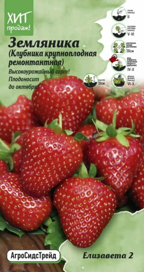 Земляника_Елизавета 2_0,02_г._АгроСидсТрейд