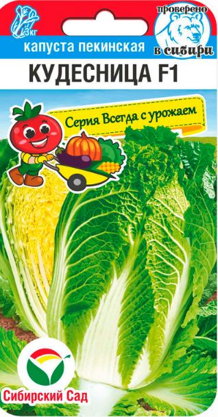 Капуста_пекинская_Кудесница F1 (серия Всегда с урожаем)_0,04_г._Сибирский Сад