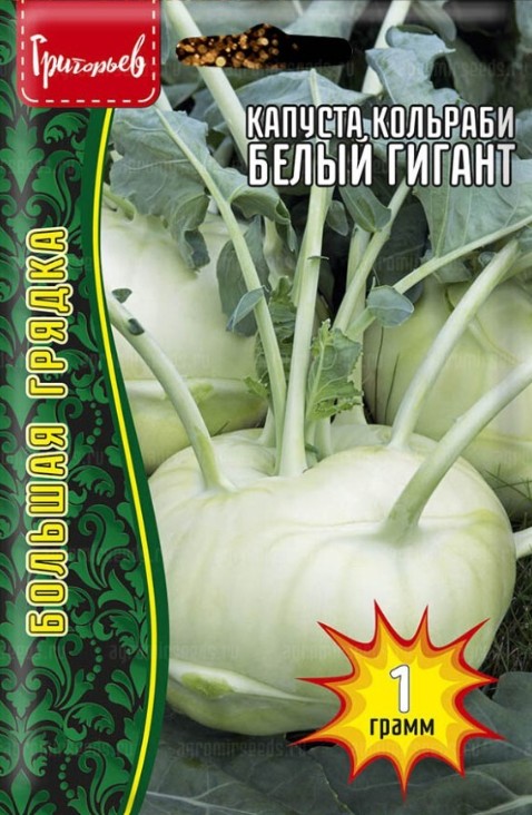 Капуста_кольраби_Белый гигант б/ф_1_г._Григорьев