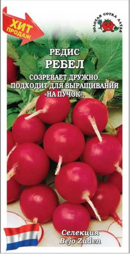 Редис_Ребел (Голландия)_1_г._Золотая Сотка Алтая