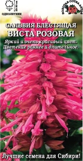 Сальвия_Виста Розовая_10_шт._Золотая Сотка Алтая