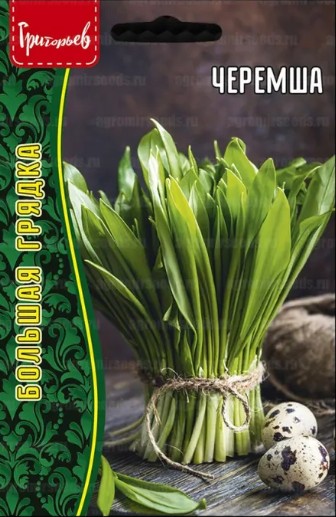 Лук_Черемша б/ф_0,5_г._Григорьев