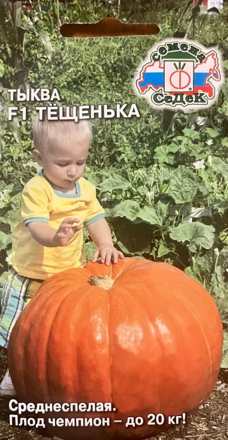 Тыква_Тещенька F1_1_г._Седек
