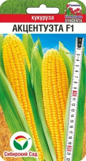 Кукуруза_Акцентуэта F1 (Syngenta)_5_шт._Сибирский Сад
