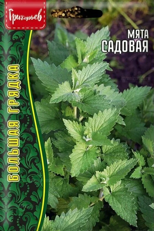 Мята_Садовая б/ф_0,05_г._Григорьев