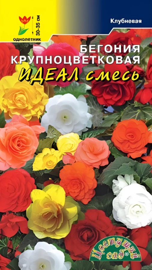Бегония_Идеал см_10_шт._Цветущий Сад